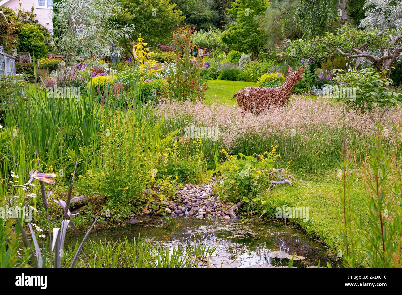 Aperçu d'un jardin d'été, en vue de l'étang de la faune naturalisée Banque D'Images