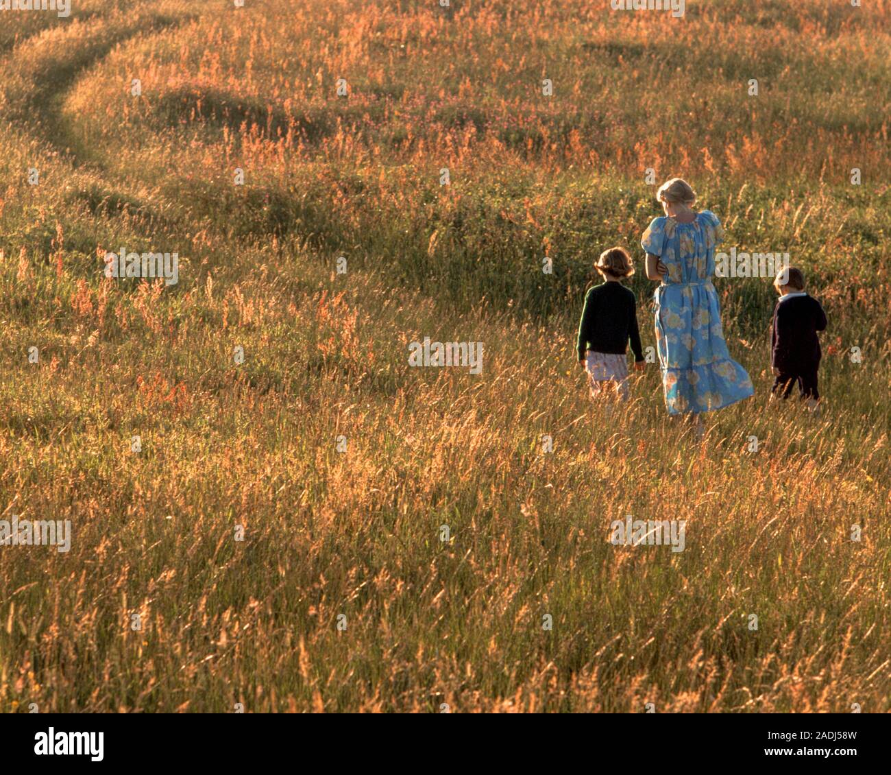 Des années 1980, la silhouette ANONYME UNE FEMME ET DEUX ENFANTS GARÇON ET FILLE QUI MARCHE UN CHEMIN GRÂCE À UN PRÉ EN ÉTÉ, LA LUMIÈRE DU SOLEIL DU SOIR - kj8850 PHT001 HARS, grâce à l'ÉQUILIBRE DE VIE DES JEUNES FAMILLES JOIE FÊTE LES FEMMES RURALES FRÈRES NATURE SANTÉ ESPACE COPIE MÂLES PLEINE LONGUEUR DU SOLEIL réchauffer la sérénité SPIRITUALITÉ FRÈRES SOEURS MEADOW TRISTESSE SUMMERTIME RÊVES GRAND ANGLE BIEN-ÊTRE LOISIRS AVENTURE CHEMIN DE BONHEUR QUI SE PROFILE ET LE CHOIX DES PÂTURAGES FORCE PUISSANTE DANS UNE DIRECTION DES LOISIRS CONNEXION FRÈRE ÉLÉGANT SUPPORT CONCEPTUEL SUNLIT HILLSIDE PASTORALE ANONYME JUVÉNILES MID-ADULT Banque D'Images