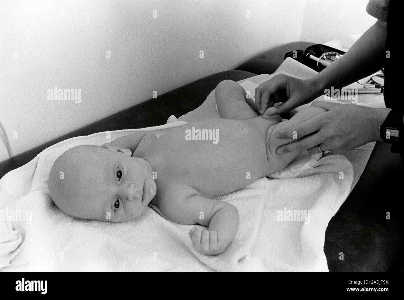 L Examen Des Testicules Chez Les Enfants Les Mains D Un Medecin De Famille Examiner Les Testicules D Un Jeune Bebe Pour Verifier Que Les Testicules Sont Bien Descendus Un Photo Stock Alamy