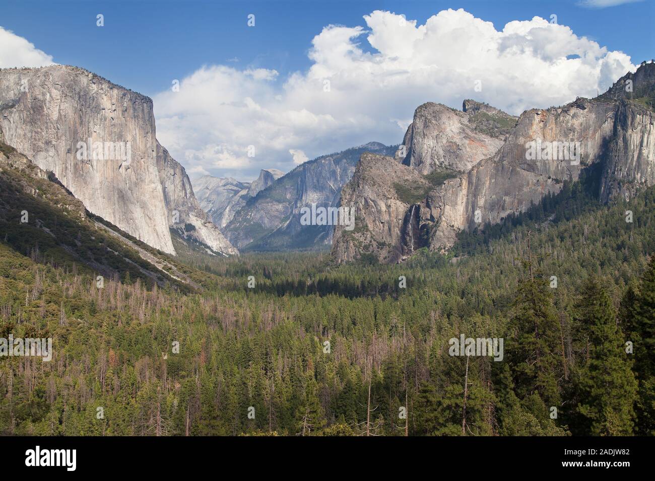 La Vallée Yosemite de vue de Tunnel, Yosemite National Park, California, USA. Banque D'Images
