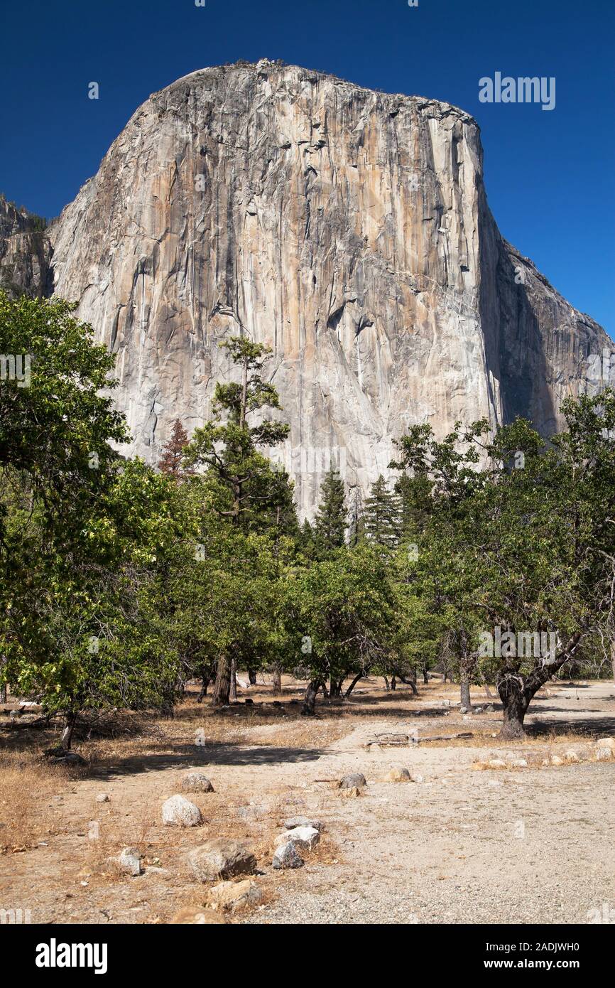 El Capitan vu du point de vue de l'automne Bridal Veil, Yosemite National Park, California, USA. Banque D'Images