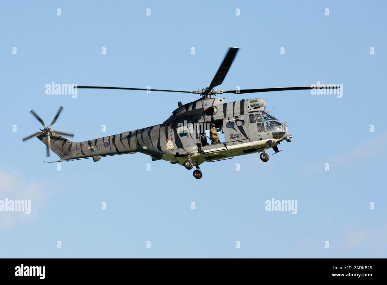 Westland Puma HC.2 XW224 de 33/230 Sqd, Royal Air Force, peint en couleurs avec Tiger 'légendes 230 Squadron/100 ans', basée à Benson Banque D'Images