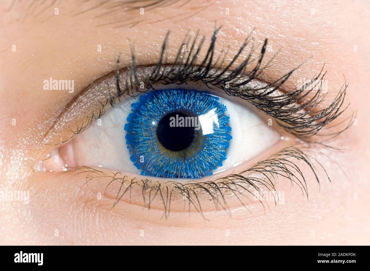 Parution du modèle. Lentilles de contact de couleur. Femme portant une lentille de contact à but esthétique. Banque D'Images