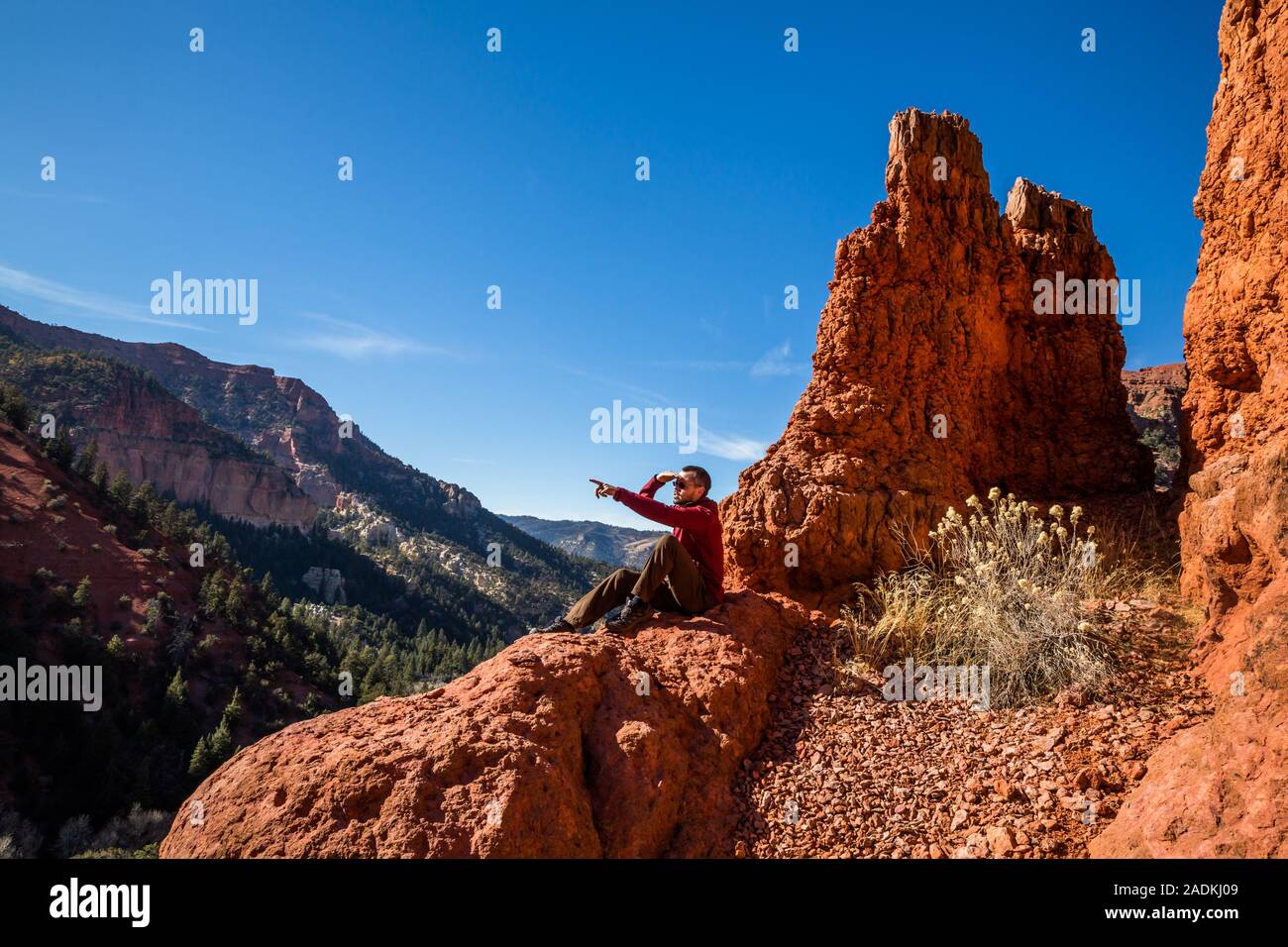 Un male hiker est situé au sommet d'une formation de roche rouge qui rappelle le Parc National de Bryce Canyon. Il montre au loin dans quelque chose. Banque D'Images