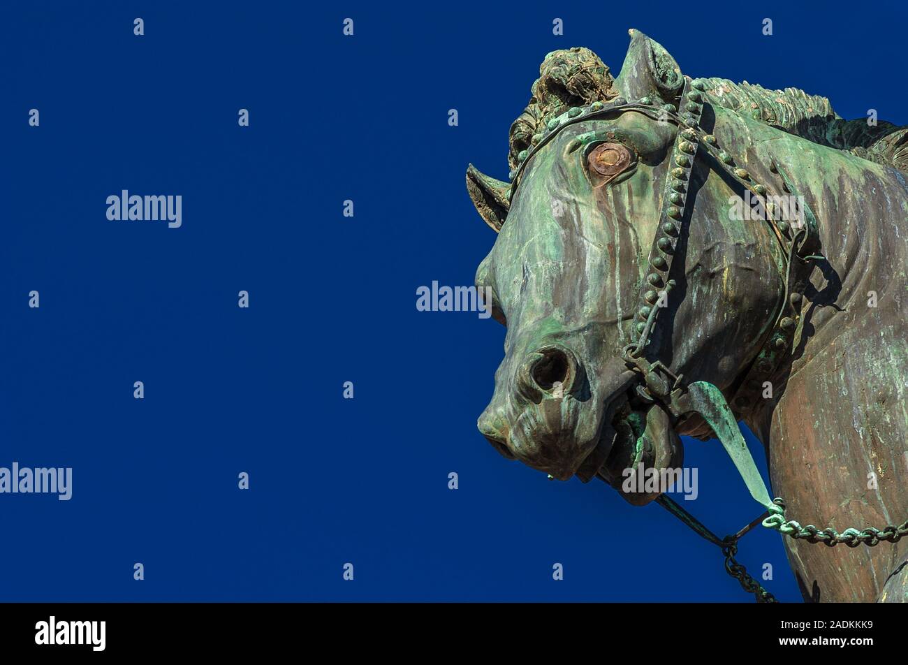 Tête de cheval en bronze de Gattamelata monument équestre, dans le centre historique de Padoue, érigé par le célèbre artiste de la renaissance Donatello en 1453 (w Banque D'Images