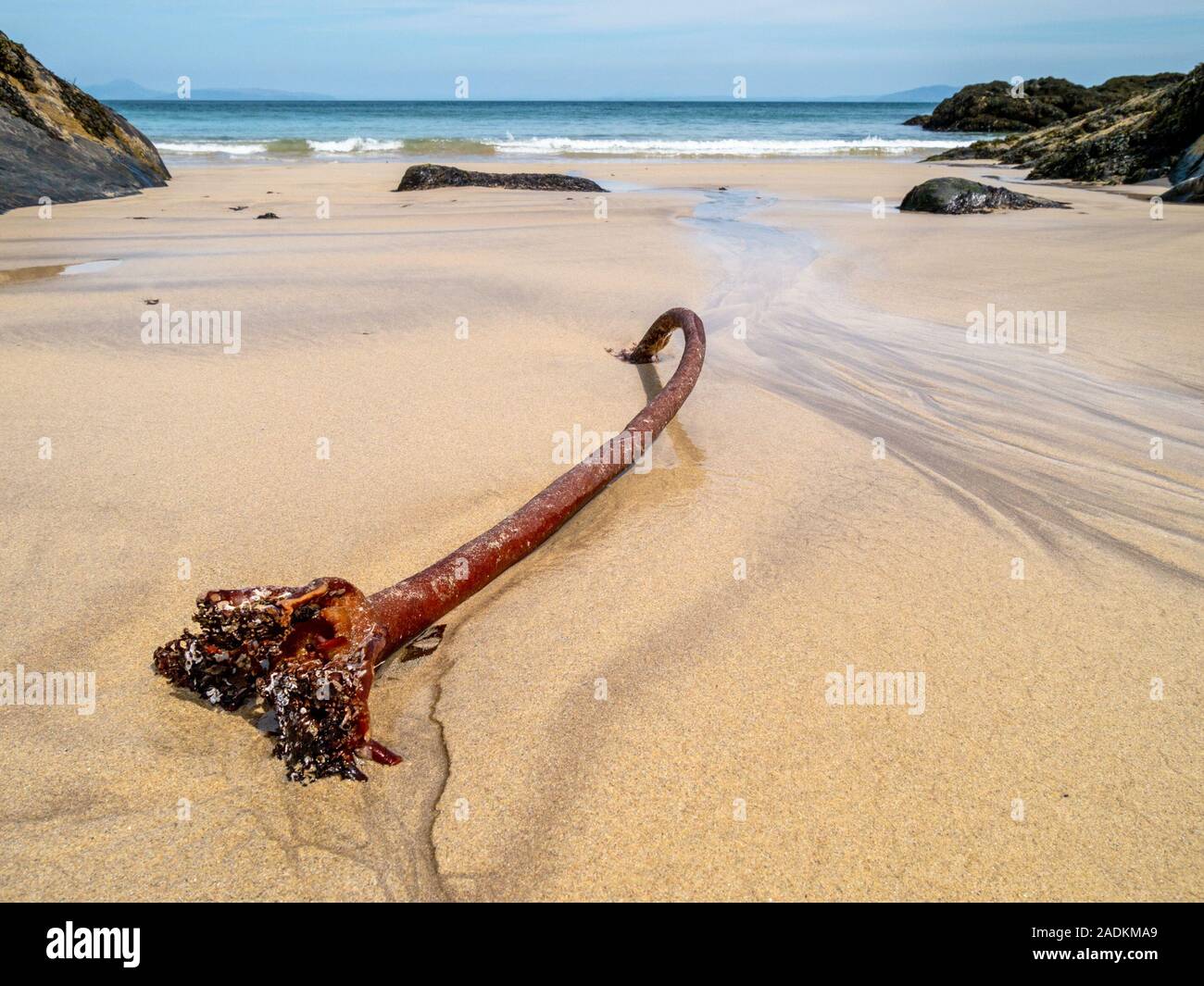 La racine de retenue d'algues de varech s'est lavée sur les sables de la plage de Balnahard, île de Colonsay, dans les Hébrides intérieures, en Écosse Banque D'Images