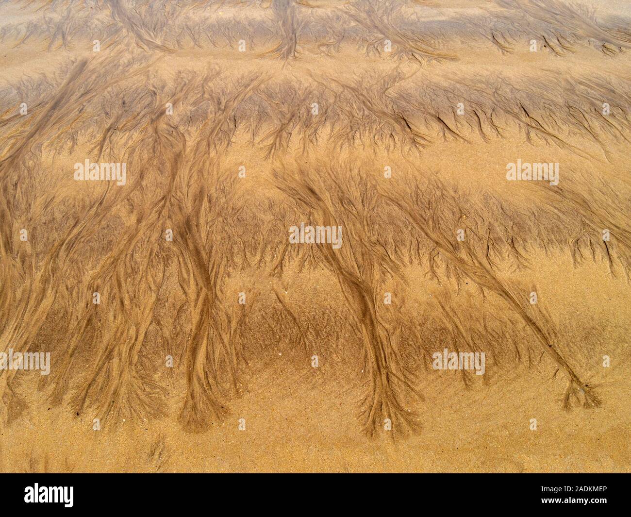 Des modèles dans le sable de plage dorée causée par l'écoulement de l'eau Banque D'Images