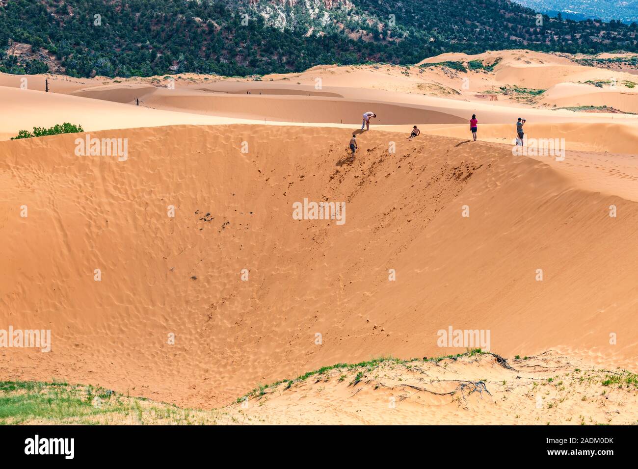 Les familles et les enfants jouent sur les dunes du parc national Coral Pink Sand Dunes près de Kanab, Utah Banque D'Images