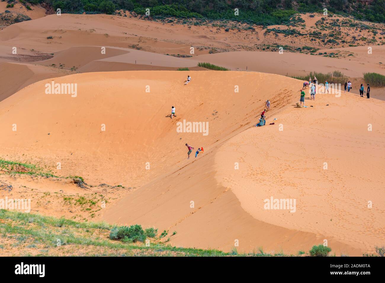 Les familles et les enfants jouent sur les dunes du parc national Coral Pink Sand Dunes près de Kanab, Utah Banque D'Images