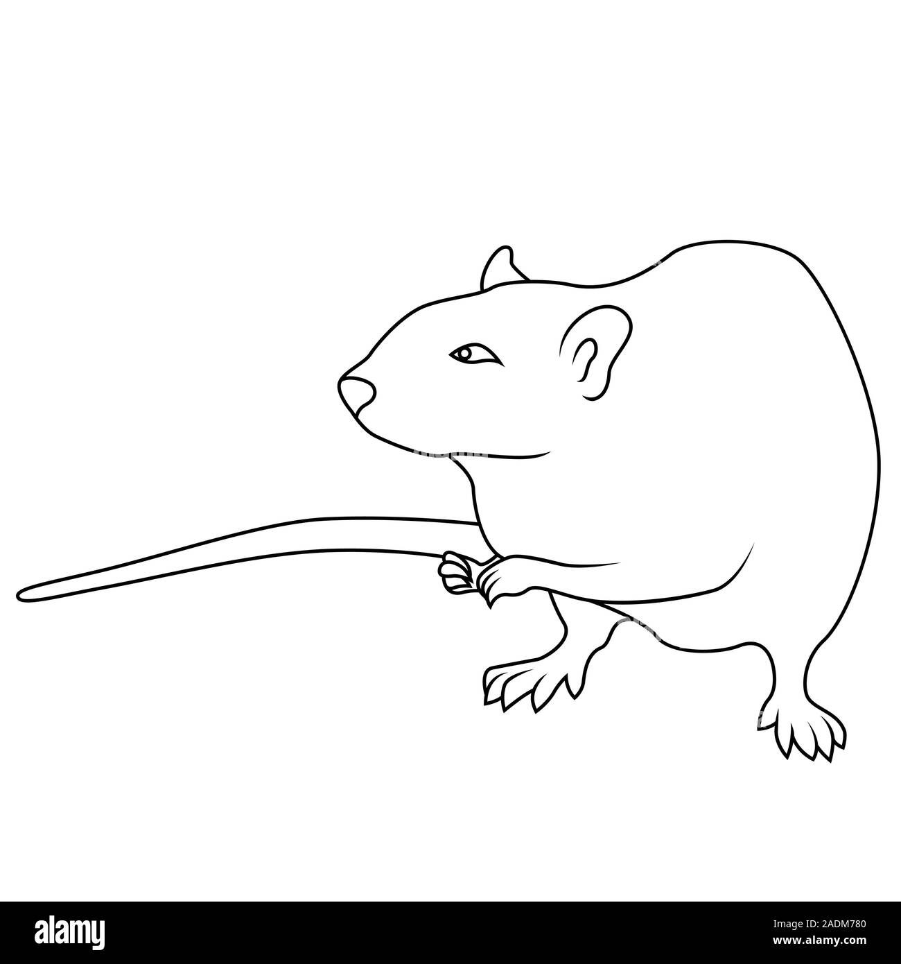 Contour noir signe de rat, symbole de la nouvelle année, hand drawn illustration isolé sur fond blanc Illustration de Vecteur