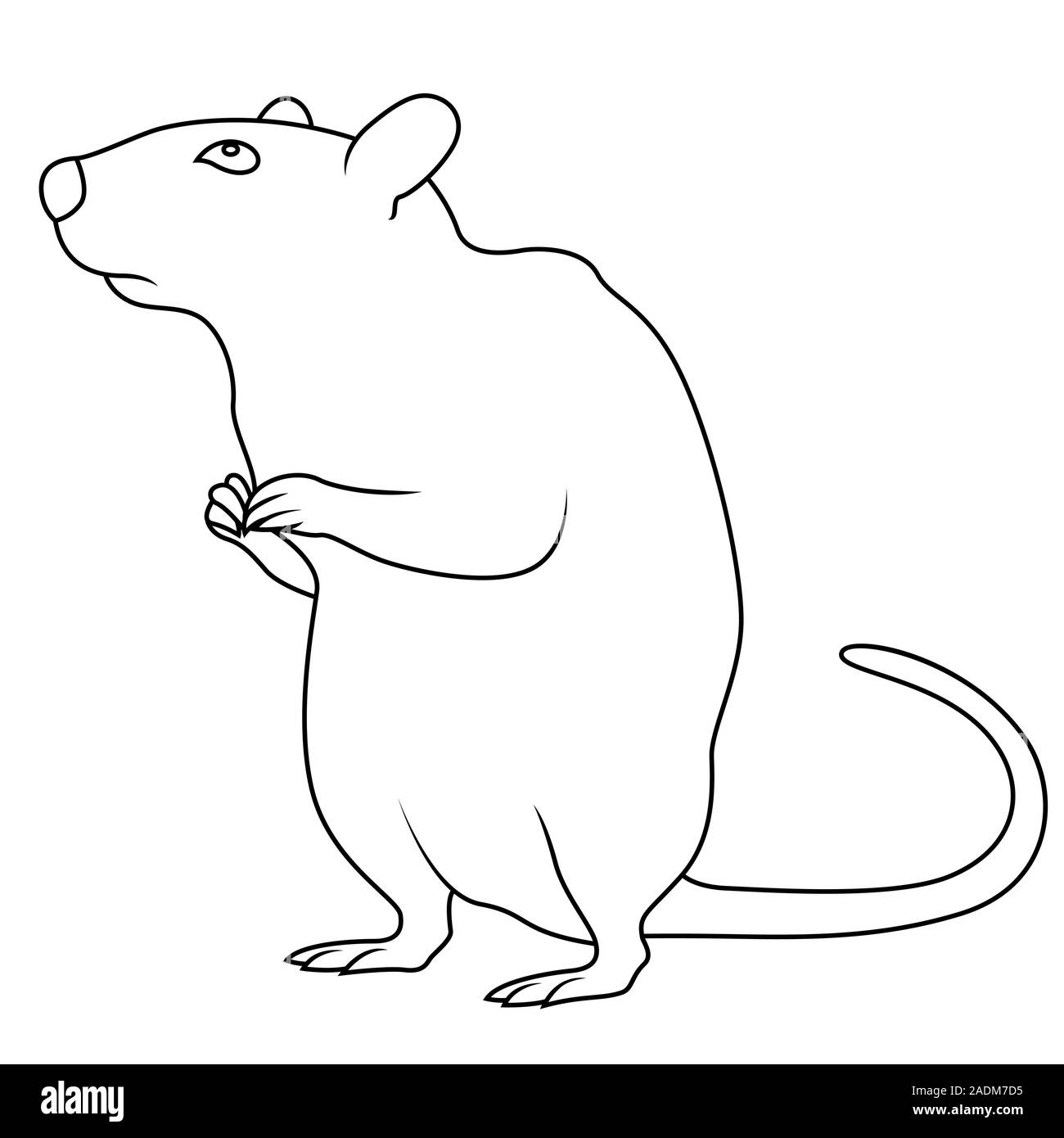 Contour noir de signe Rat, symbole de la nouvelle année, hand drawn illustration isolé sur fond blanc Illustration de Vecteur
