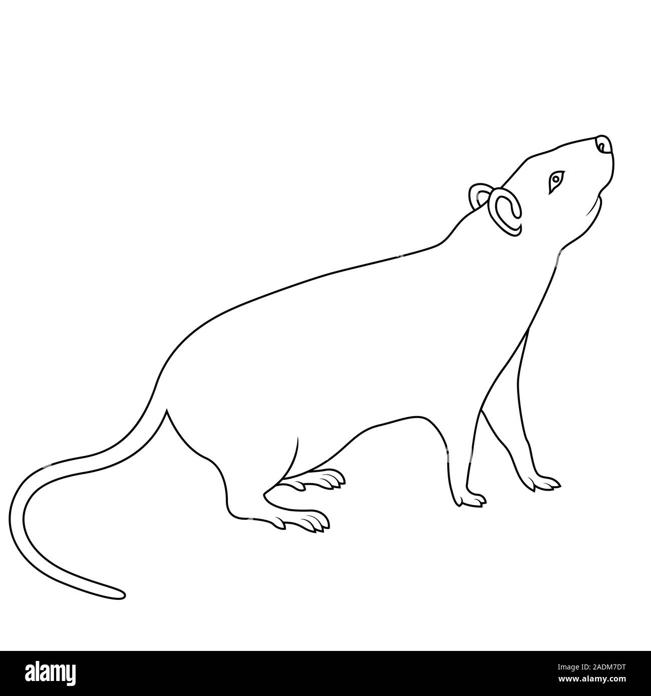 Contour noir de signe zodiacal chinois Rat, symbole de la nouvelle année sur le calendrier oriental, hand drawn illustration isolé sur fond blanc Illustration de Vecteur