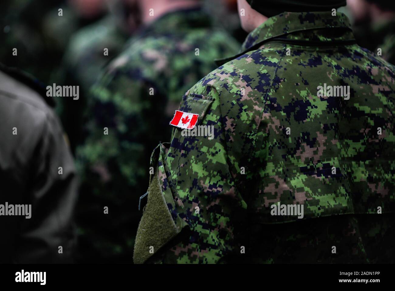 Détails avec l'uniforme et le drapeau d'un soldat canadien qui participent à la parade militaire de la fête nationale roumaine. Banque D'Images