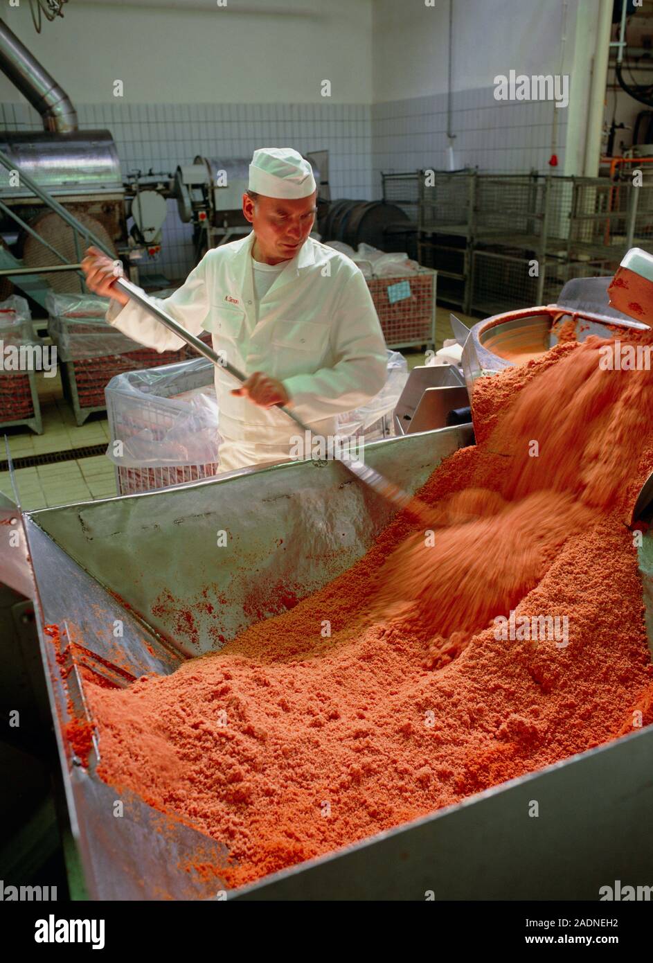 Parution du modèle. Pulpe de tomate déshydratée en laissant un séchoir à  tapis dans une soupe de tomate en usine. Cette poudre sera utilisée comme  base pour faire la soupe. Photographe Photo