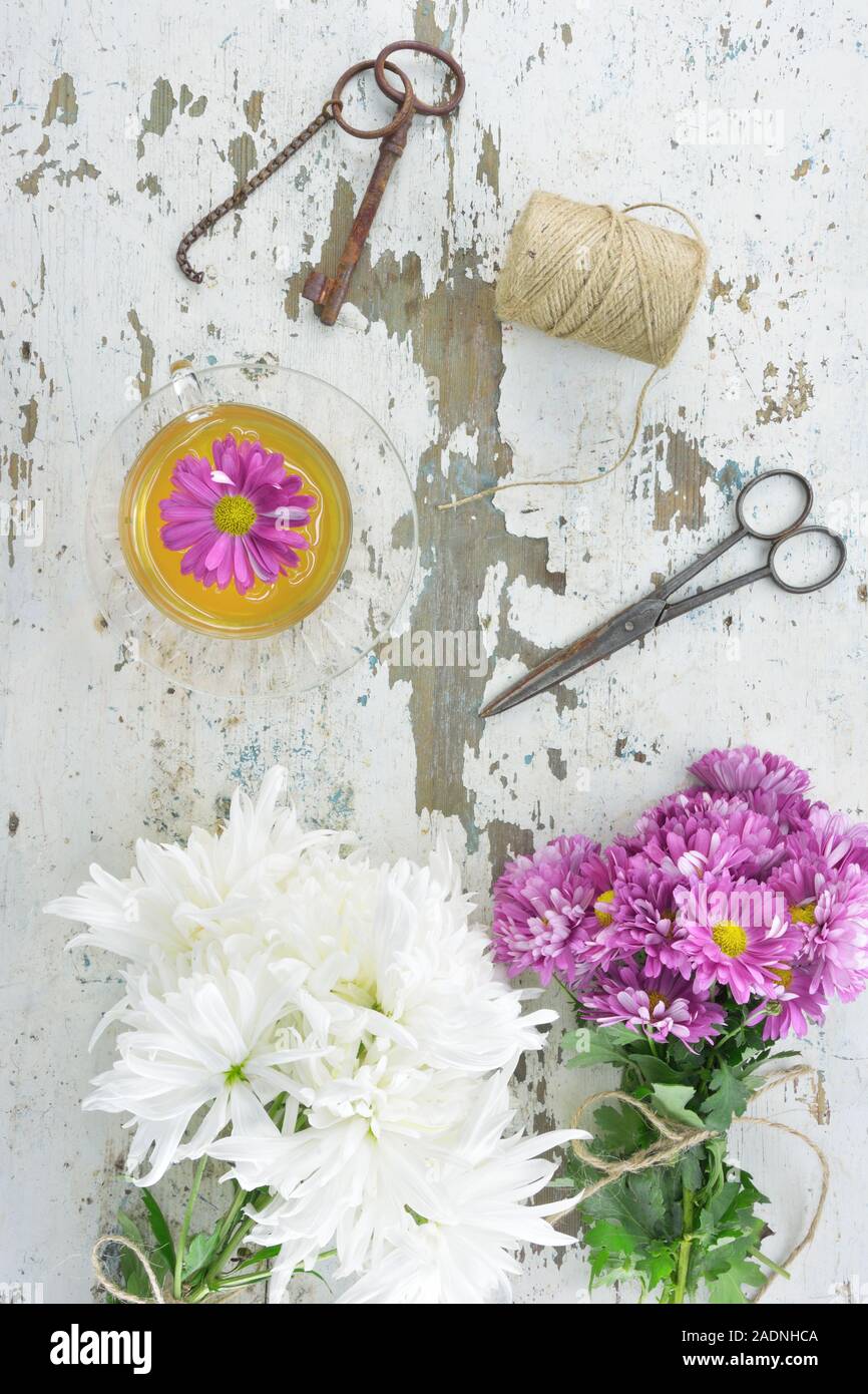 Bouquets de chrysanthèmes , une tasse de thé avec une fleur flottante, un vieux ciseaux en métal, une vieille clé de métal et un fil slub sur une table en bois Banque D'Images