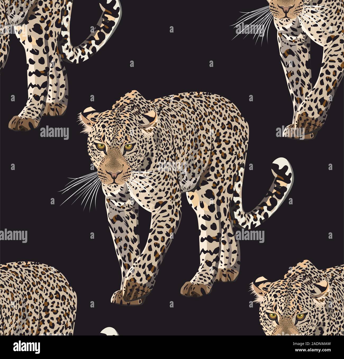 Croquis de vecteur horizons leopard.leo transparente.motif imprimé animal. Illustration de Vecteur