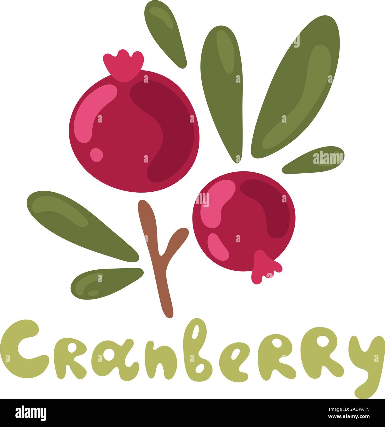 Vector illustration couleur de cranberry avec lettrage manuscrit nom en anglais sur fond blanc isolé. Jolie plante. Télévision doodle design. Illustration de Vecteur