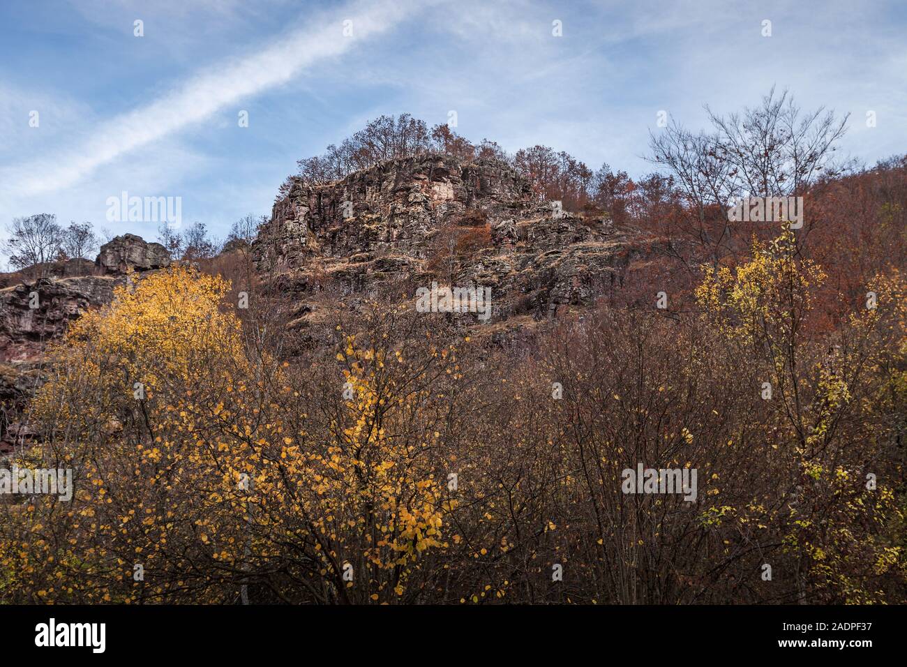 Rocky Mountain peak avec des arbres sur le haut et d'avant-plan, de couleur d'or, soleil, arbres en automne Banque D'Images