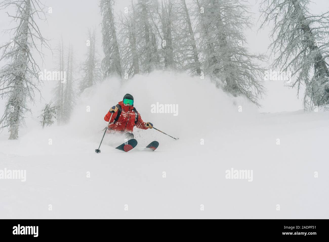Poudre de skieur à Wolf Creek Banque D'Images