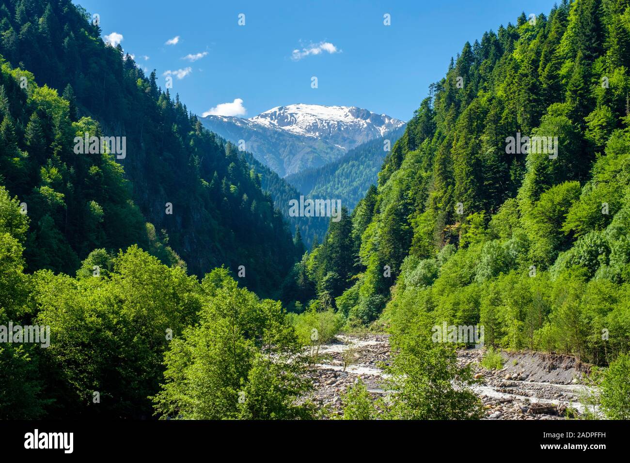 Patara, rivière Enguri Samegrelo-Zemo Svaneti, région de la Géorgie. Banque D'Images