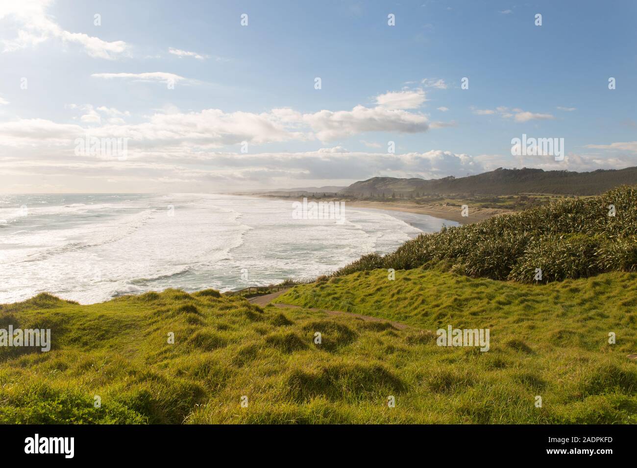 Une image paysage de Muriwai Beach sur la côte ouest, près de la ville d'Auckland, Nouvelle-Zélande Banque D'Images