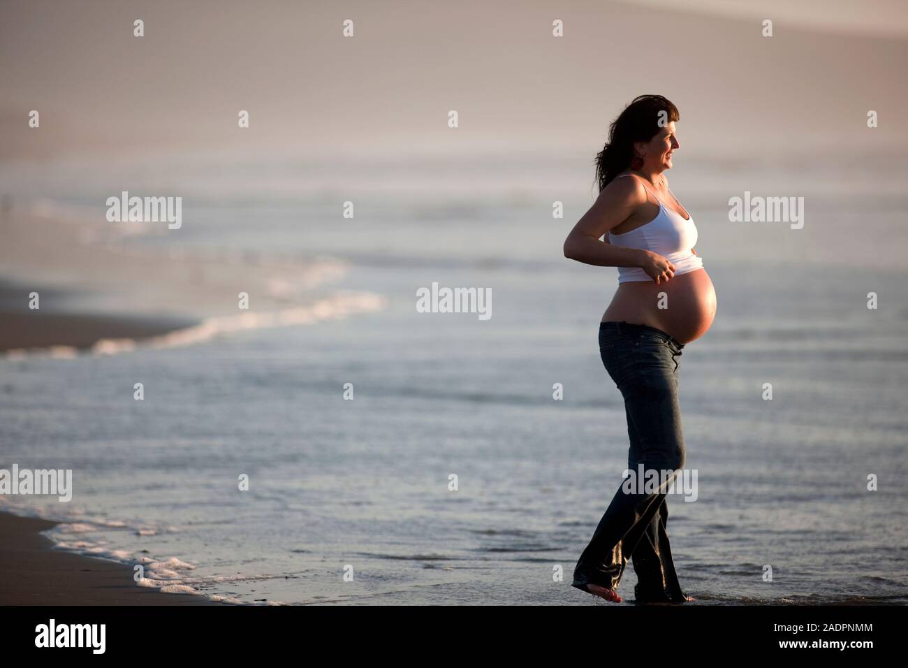 Femme enceinte sur plage avec chien. Banque D'Images