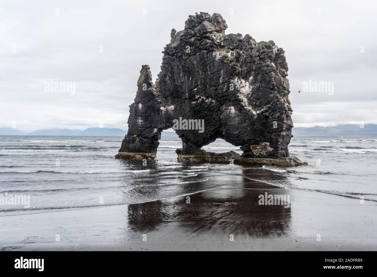 Grand rock formation et arches sur plage à Hvitserkur, Islande Banque D'Images