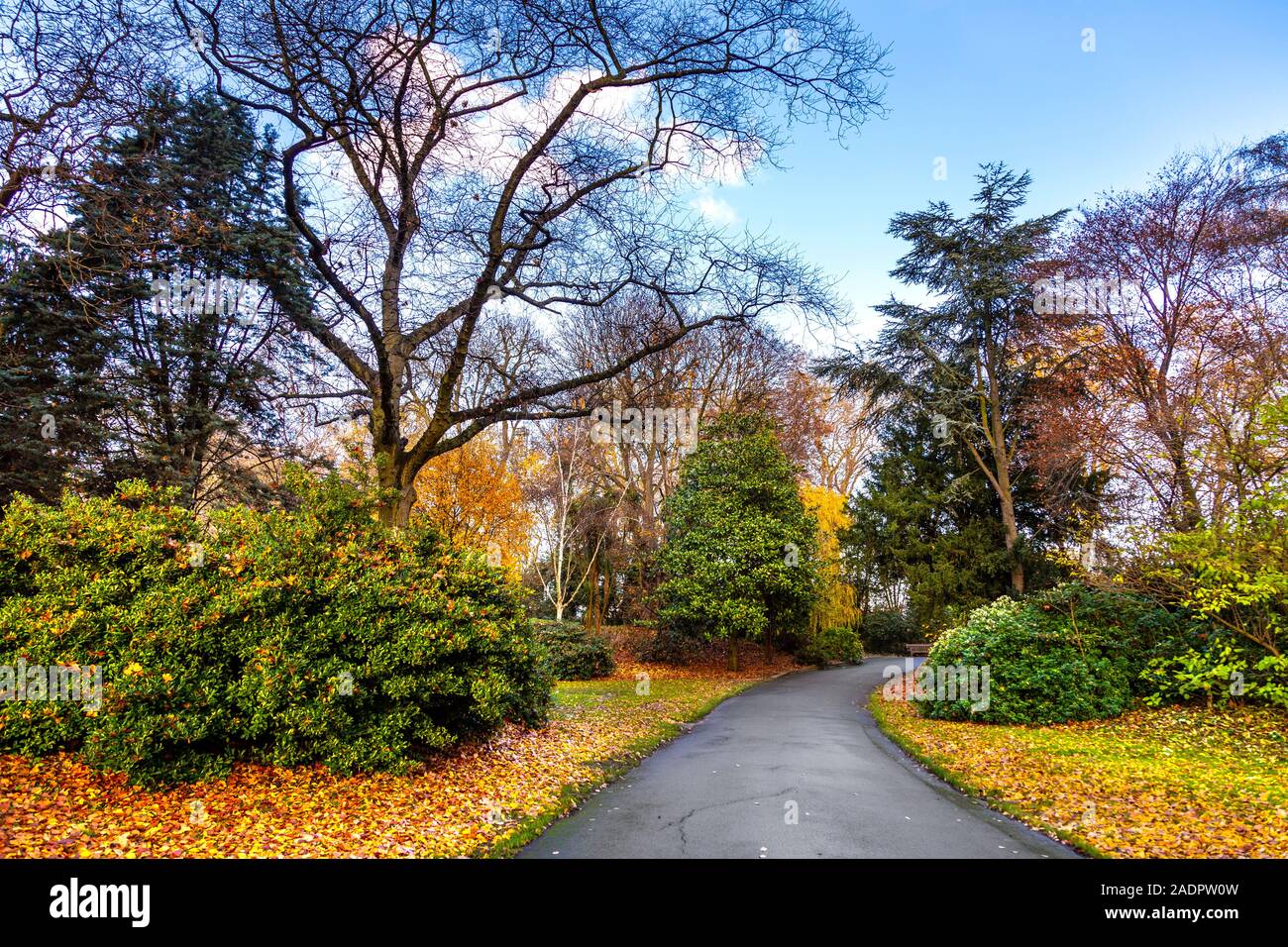 Ranelagh Gardens en automne, London, UK Banque D'Images