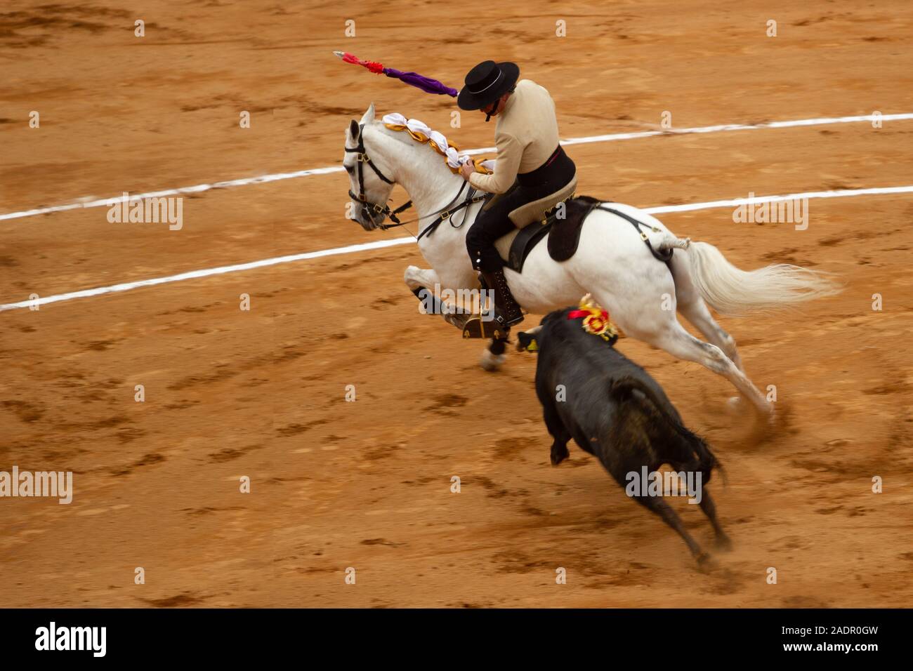 Tlaxcala, Mexique - 16 novembre. 2019 Un lancier monté sur son cheval blanc est en cours par un brave taureau noir au cours d'une corrida Banque D'Images