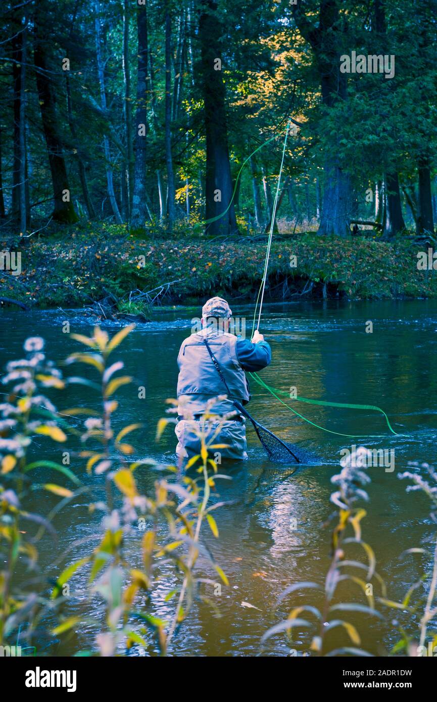 Fly fisherman casting pour la truite arc-en-ciel dans le Pere Marquette, près de Walhalla, Michigan, USA Banque D'Images