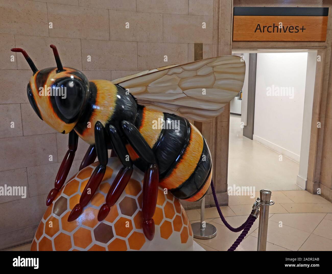 Bee in the City, Manchester Bee, Outside Manchester Archives, Central Library, St Peter's Square, Manchester, Angleterre, Royaume-Uni, M2 5PD Banque D'Images