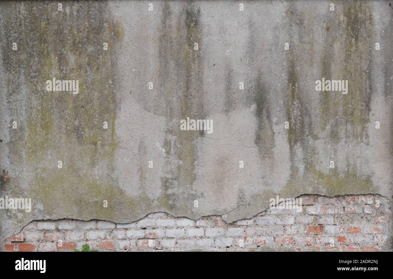 Gealterter Wandverputz - âgés de wall plastering Banque D'Images