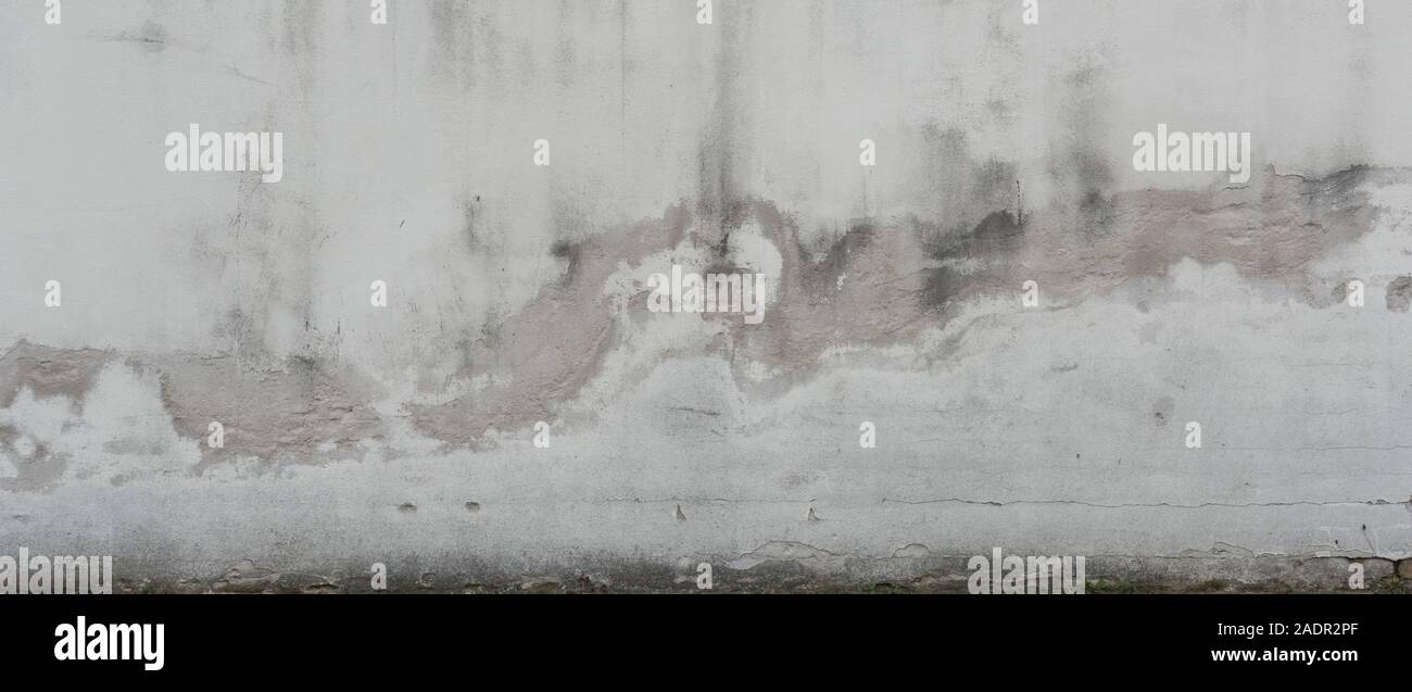 Un Wasserschäden verputzem - Mauerwerk maçonnerie plâtrée des dégâts d'eau Banque D'Images