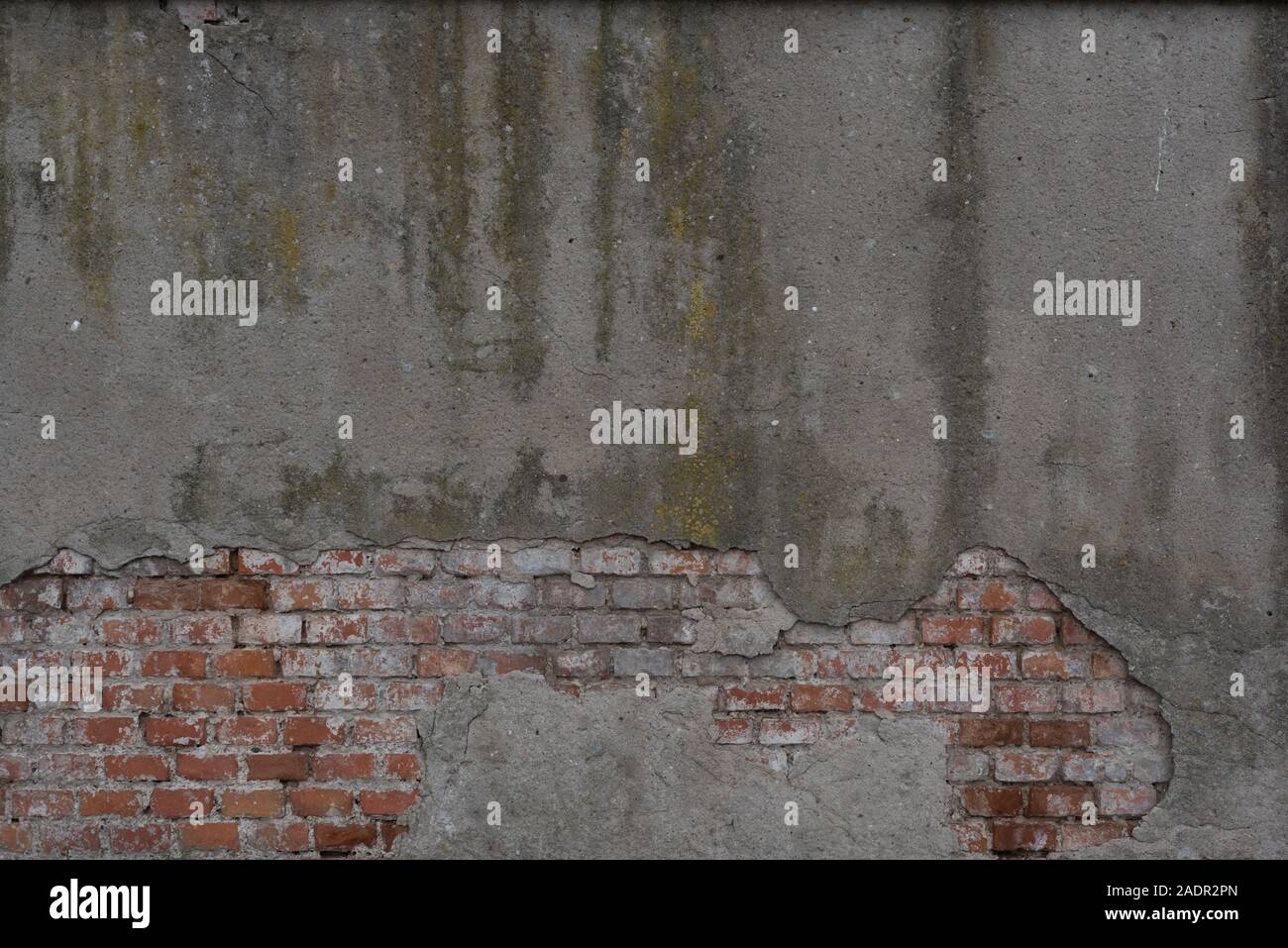Gealterter Wandverputz - âgés de wall plastering Banque D'Images