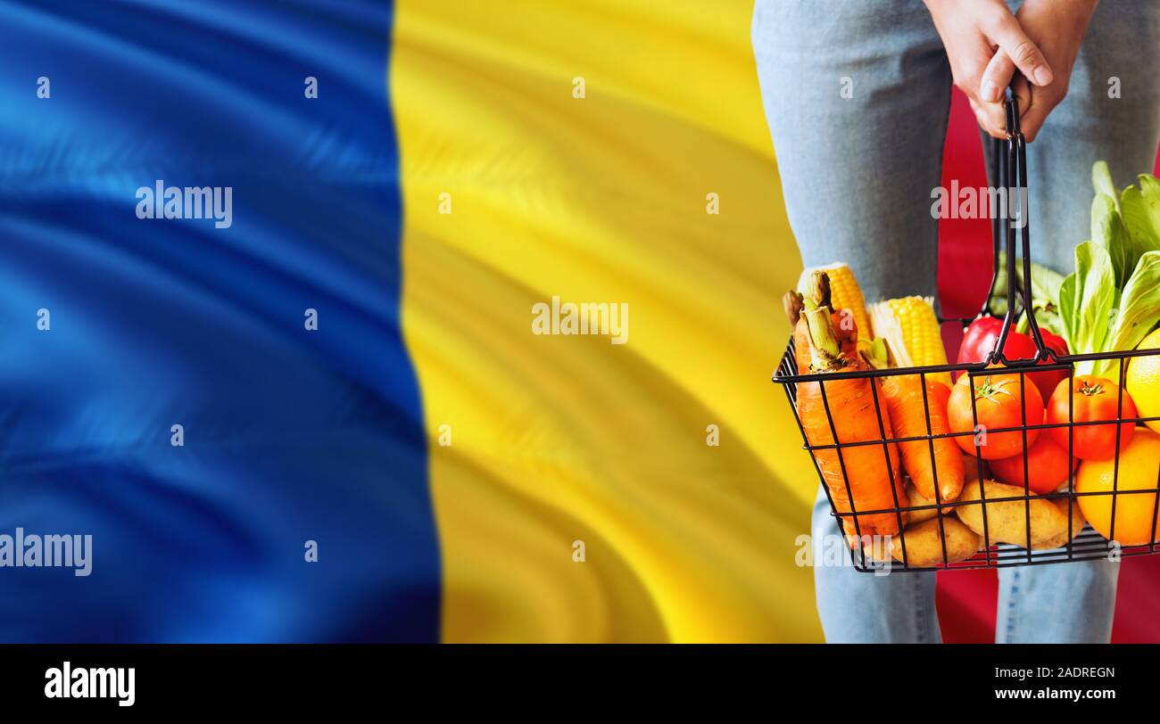 Woman is holding supermarché panier, Roumanie waving flag background. Concept de l'économie pour les fruits et légumes. Banque D'Images