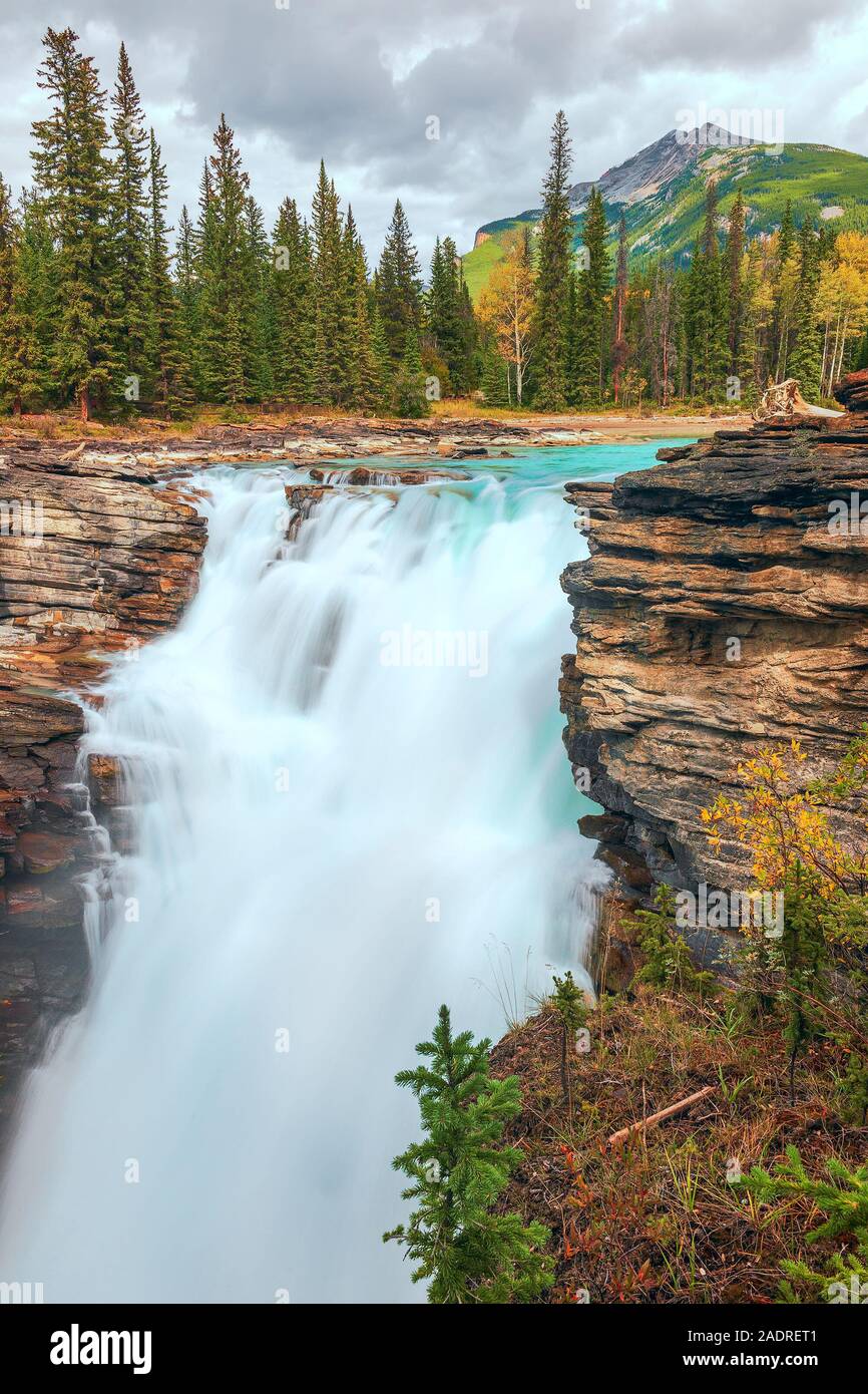 Les chutes Athabasca dans les Rocheuses canadiennes. Le Parc National Jasper. L'Alberta. Canada Banque D'Images Les chutes Athabasca dans les Rocheuses canadiennes. Le Parc National Jasper. L'Alberta. Canada Banque D'Images