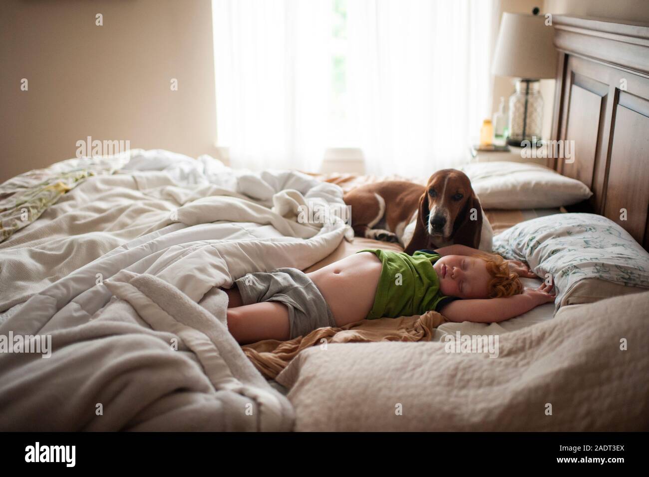 Tout-petit garçon endormi dans le lit avec basset hound dog à côté de lui à la maison Banque D'Images