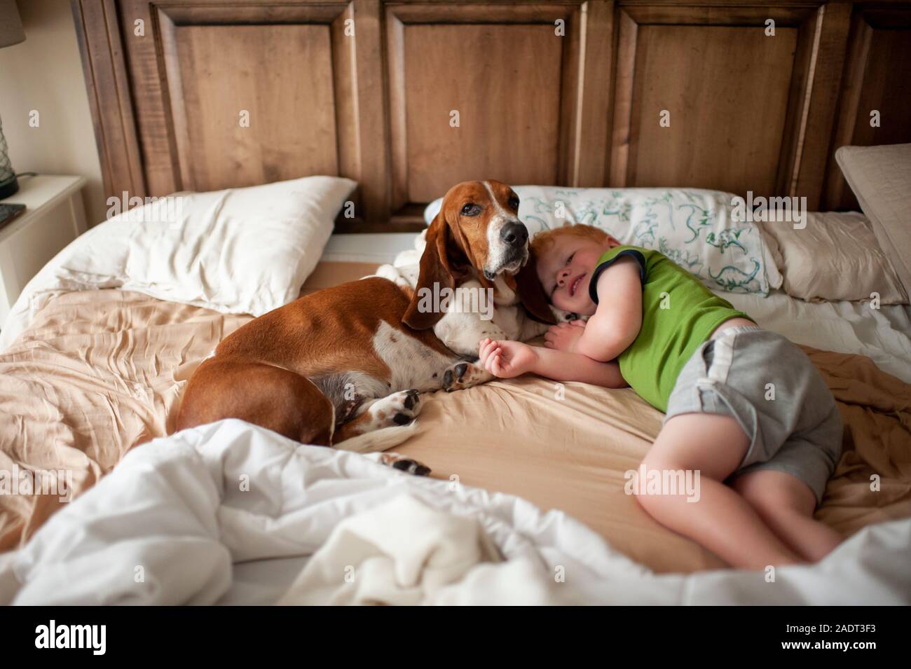 Bébé garçon se réveillant dans le lit avec basset hound dog à côté de lui à la maison Banque D'Images