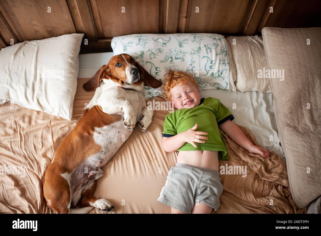 Bébé garçon réveiller avec basset hound dog à côté de lui à la maison au lit Banque D'Images