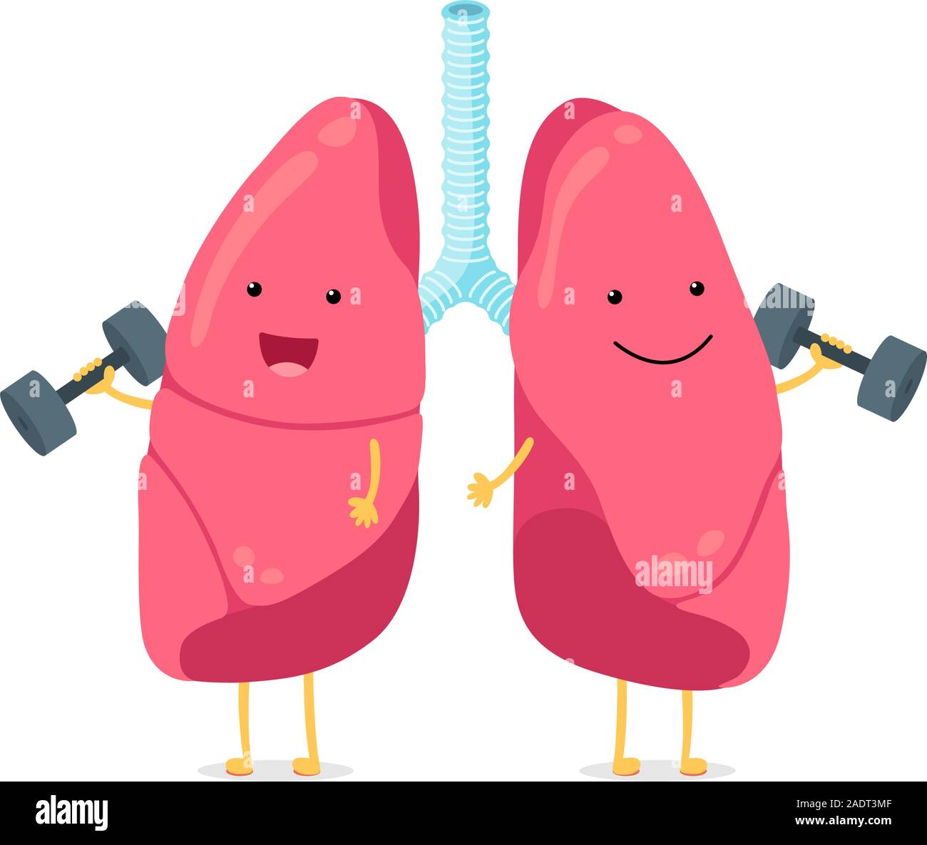 Mignon dessin animé drôle de poumons caractère avec des haltères. Poumon souriant fort. Système respiratoire humain mascotte d'organe à respiration interne heureuse. Anatomie médicale saine illustation à vecteur plat Illustration de Vecteur
