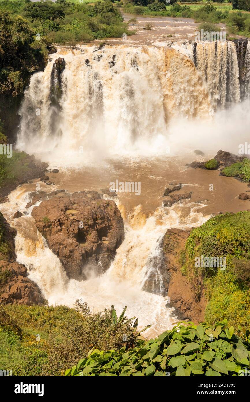 L'Éthiopie, région d'Amhara, Bahir Dar, Tissisat, Tis Isat Nil Bleu tombe à la fin de la saison des pluies Banque D'Images