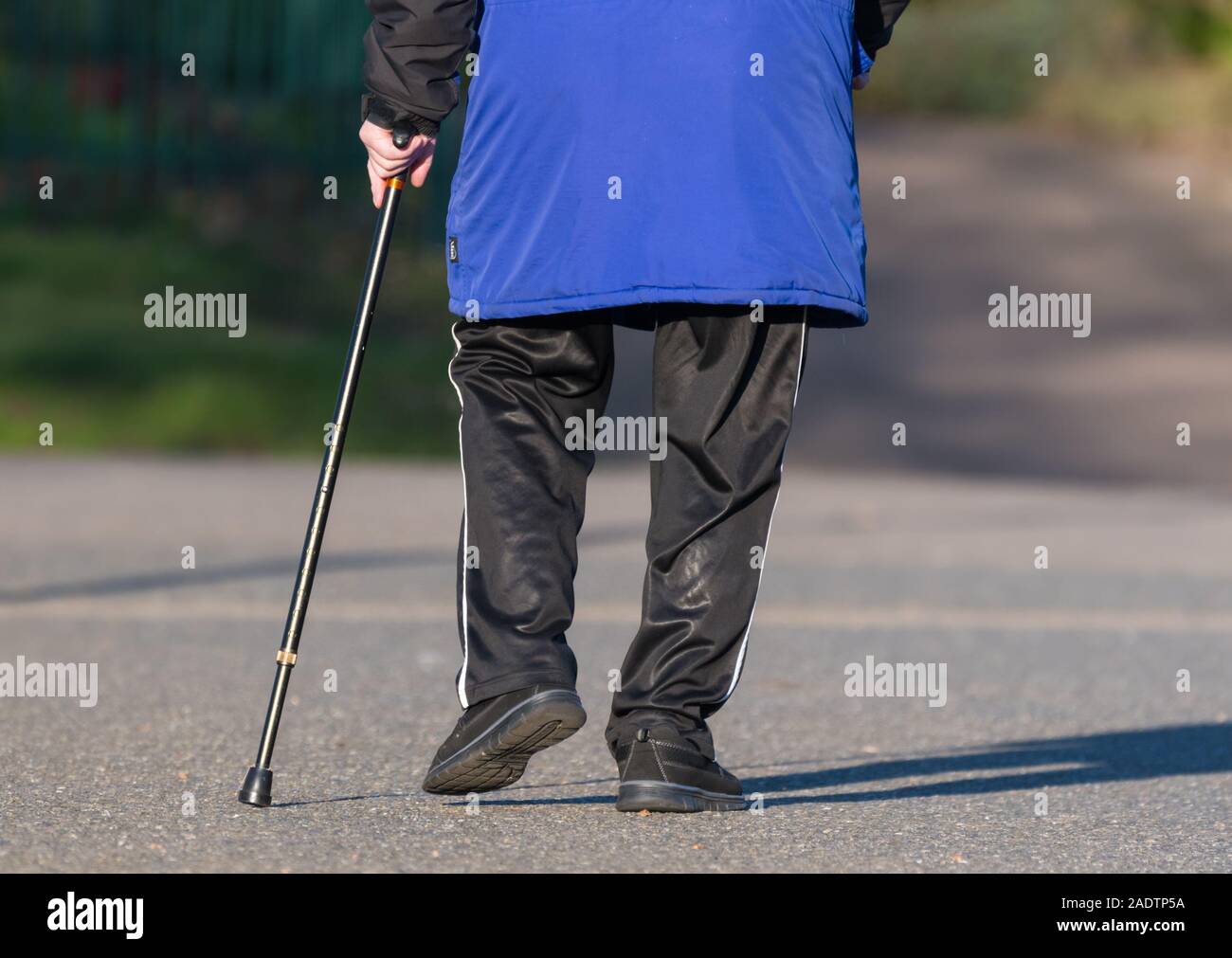 Vue de derrière d'un homme âgé à l'aide d'un bâton de marche comme une mobilité réduite aide à la marche. Banque D'Images