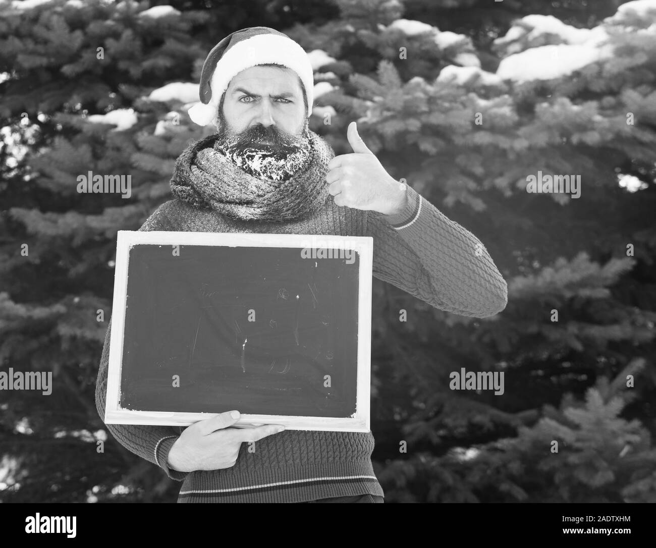L'homme fronce dans santa claus hat, hipster avec barbe et moustache recouverte de givre, avec tableau noir ou tableau blanc donne Thumbs up geste sur journée d'hiver sur fond naturel, copy space Banque D'Images L'homme fronce dans santa claus hat, hipster avec barbe et moustache recouverte de givre, avec tableau noir ou tableau blanc donne Thumbs up geste sur journée d'hiver sur fond naturel, copy space Banque D'Images