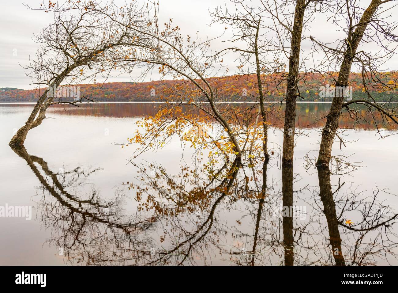 Rivière Sainte-Croix, St Croix SP, Automne, Minnesota, USA, par Dominique Braud/Dembinsky Assoc Photo Banque D'Images