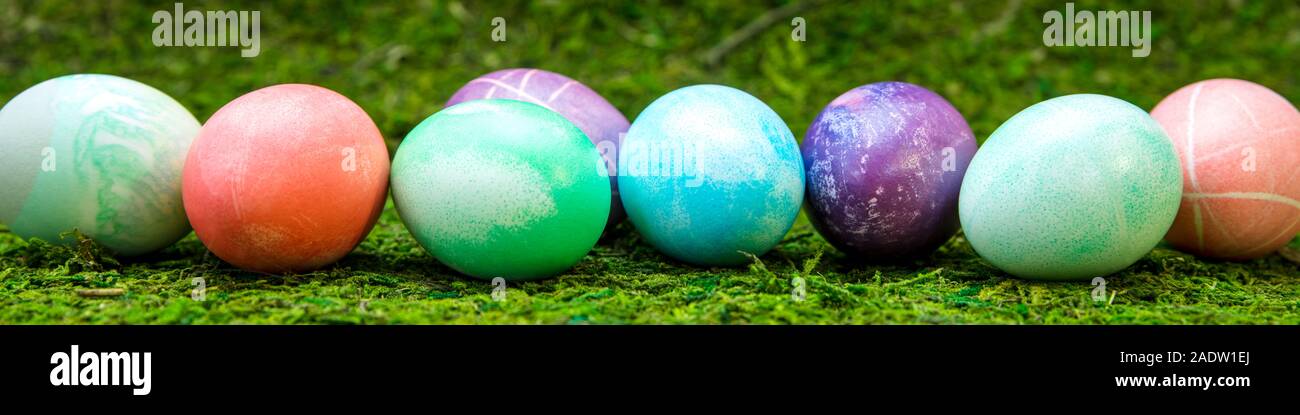 Panorama, les oeufs de pâques teints colorés dans une ligne sur pré vert ou moss Banque D'Images