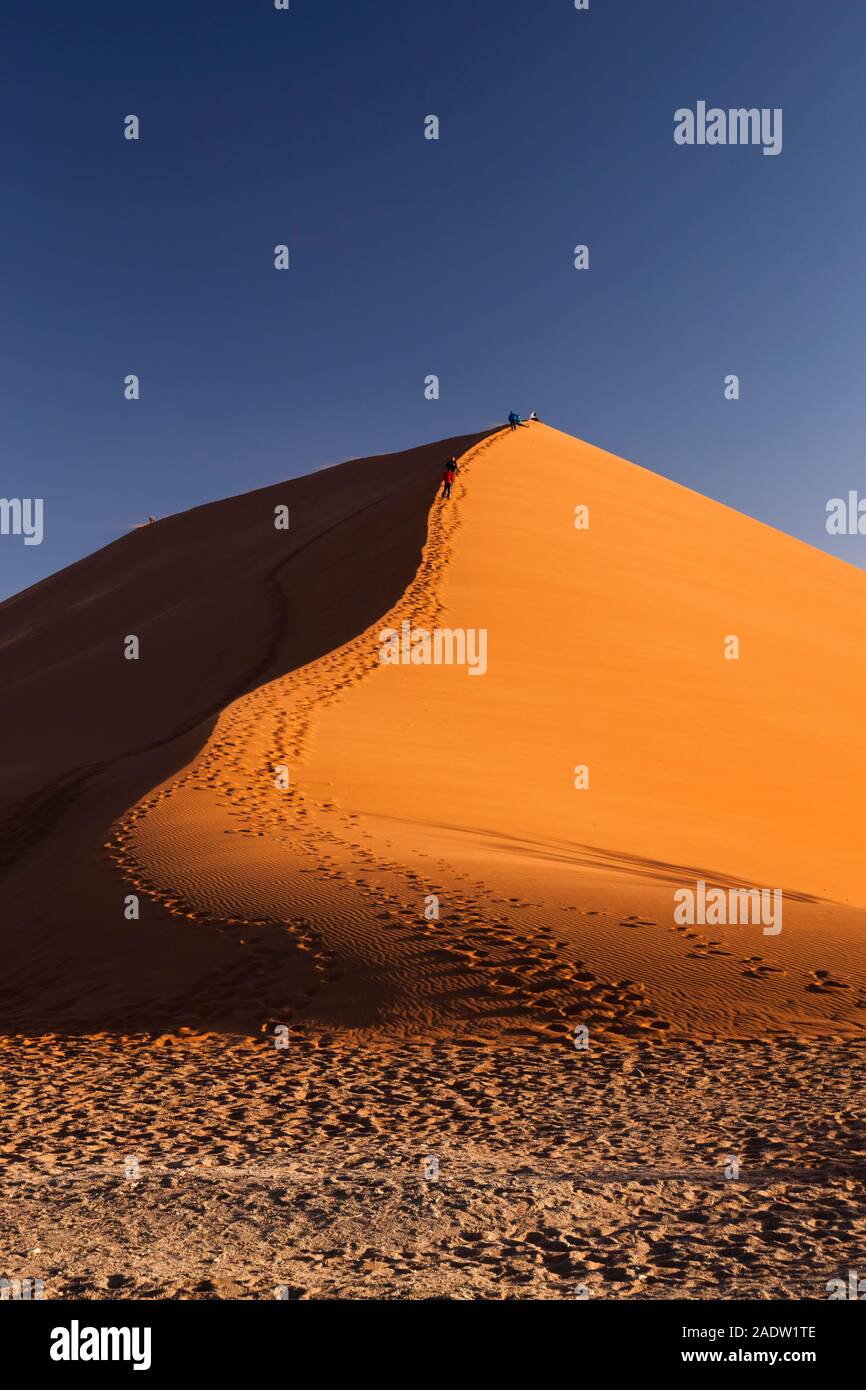Escalade Dune 45, près de Sesriem, désert Namib, Parc national Namib-Naukluft, Namibie, Afrique australe, Afrique Banque D'Images