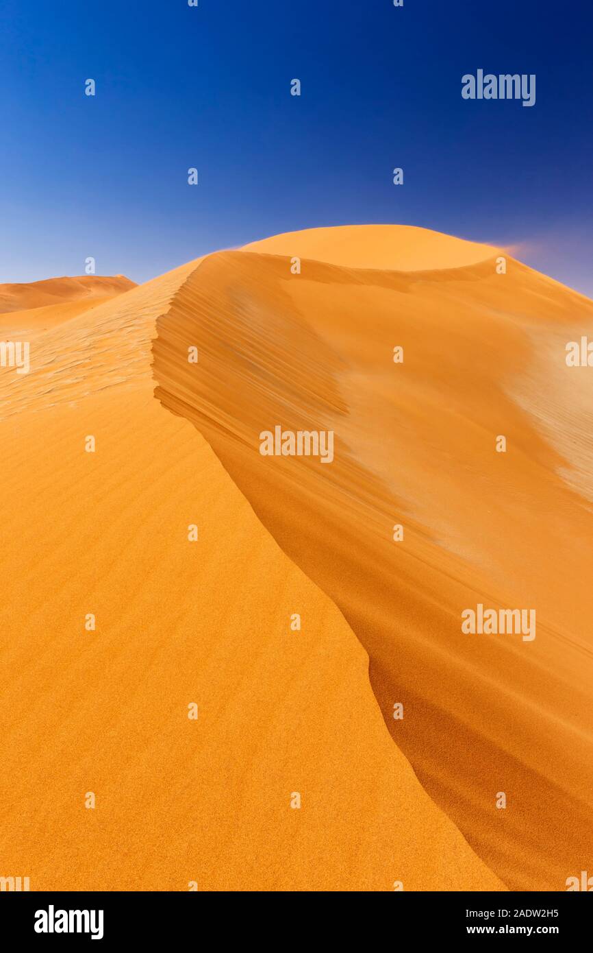 Grande dune à Sossusvlei, désert du Namib, mer de sable du Namib, parc national du Namib-Naukluft, Namibie, Afrique australe, Afrique Banque D'Images