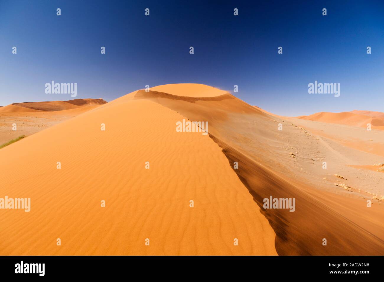 Grande dune à Sossusvlei, désert du Namib, mer de sable du Namib, parc national du Namib-Naukluft, Namibie, Afrique australe, Afrique Banque D'Images