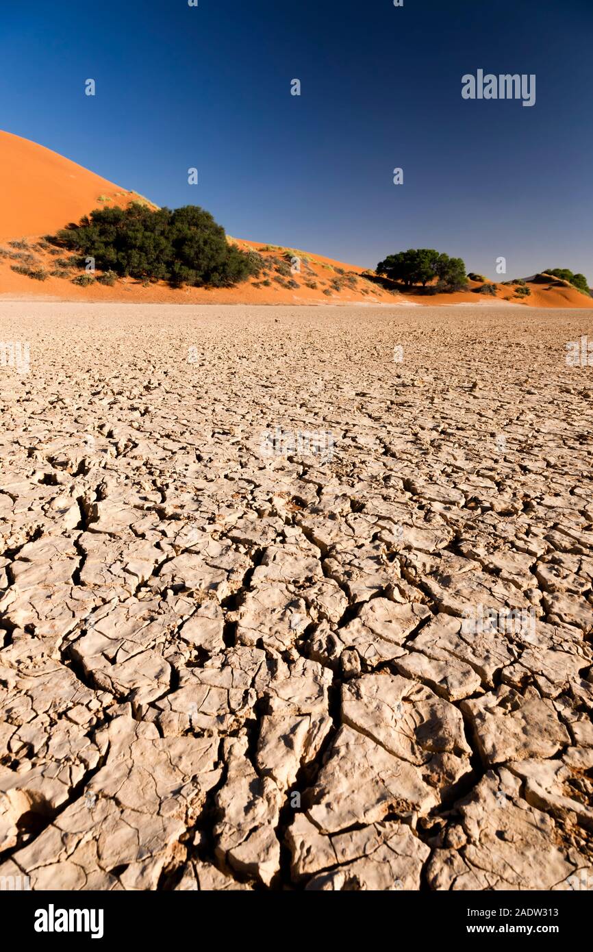 Lit du lac Cracked, à Sossusvlei, désert du Namib, parc national Namib-Naukluft, Namibie, Afrique australe, Afrique Banque D'Images