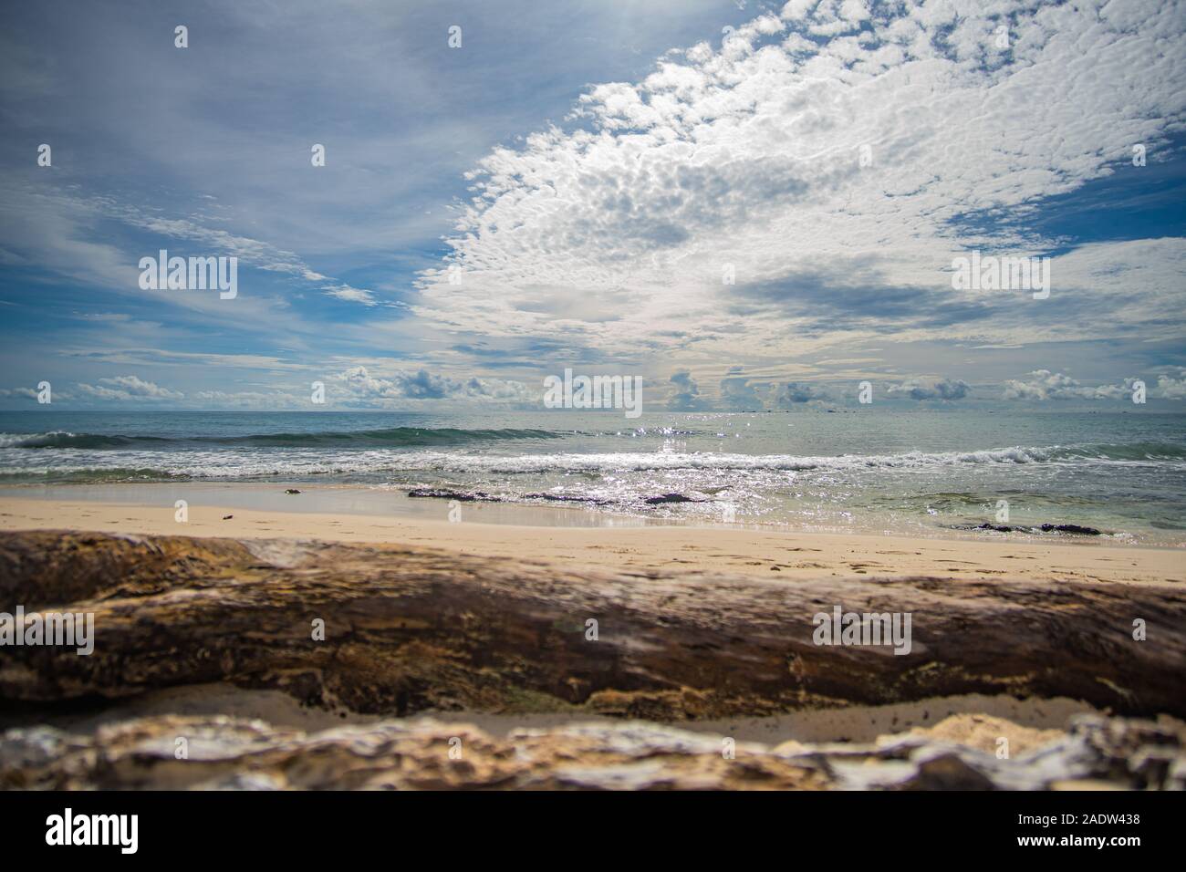 Belle plage mexicaine avec de l'eau turquoise à mer des Caraïbes Banque D'Images